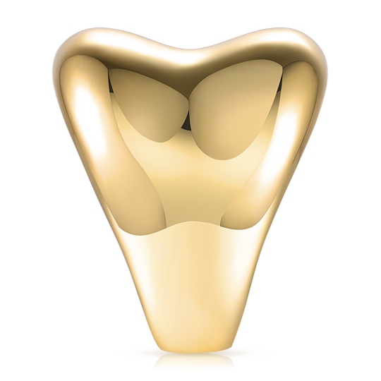 Pierścionek srebrny pozłacany (R100861 Y 925) : 10