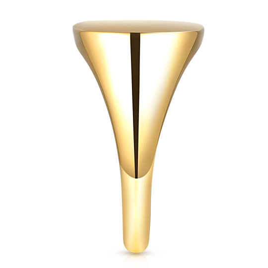 Sygnet srebrny pozłacany (R100862 Y 925): 14