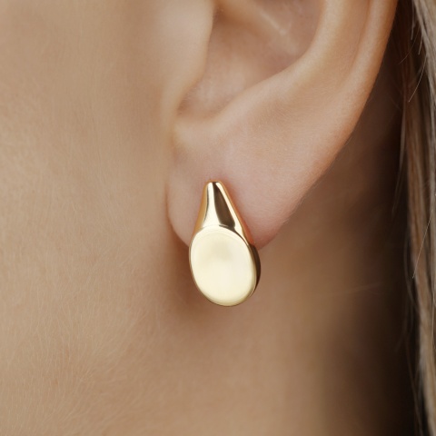 Kolczyki srebrne pozłacane (E100862 Y S 925)